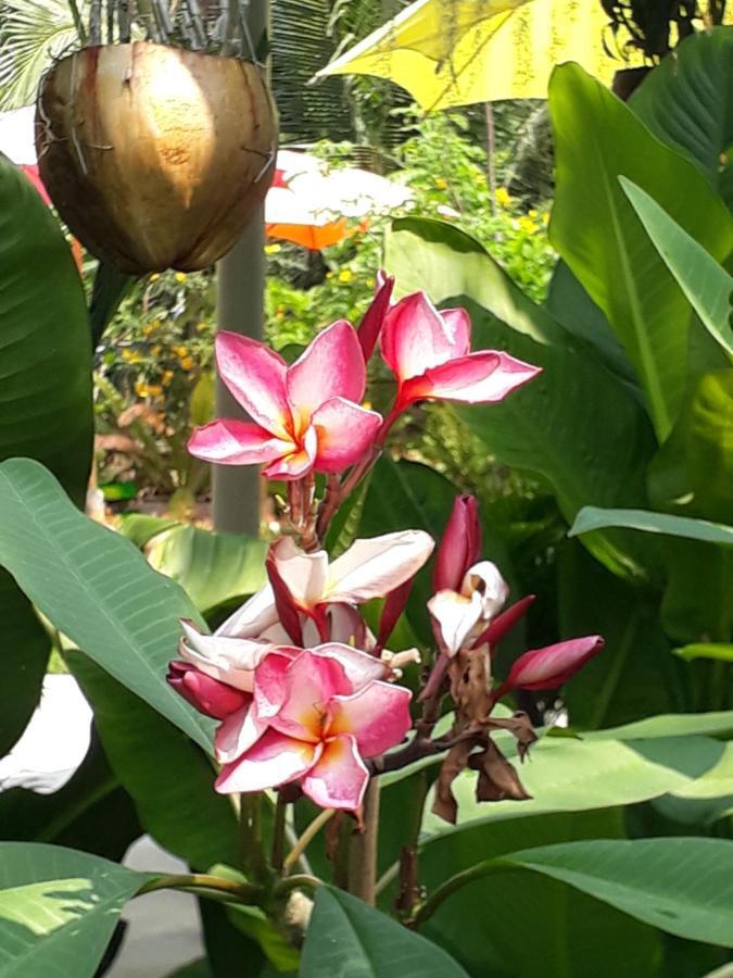 Baan Glangsuan Bang Kobua Hotel Bang Chak Buitenkant foto